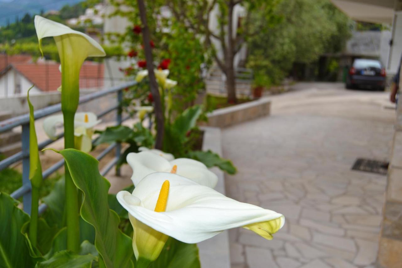 Tivat Apartments Exteriör bild