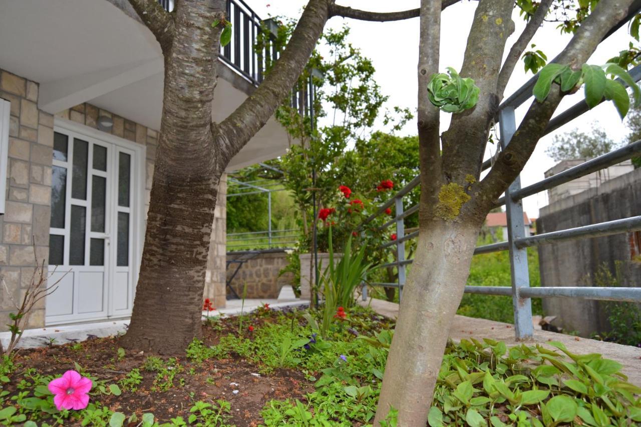 Tivat Apartments Exteriör bild