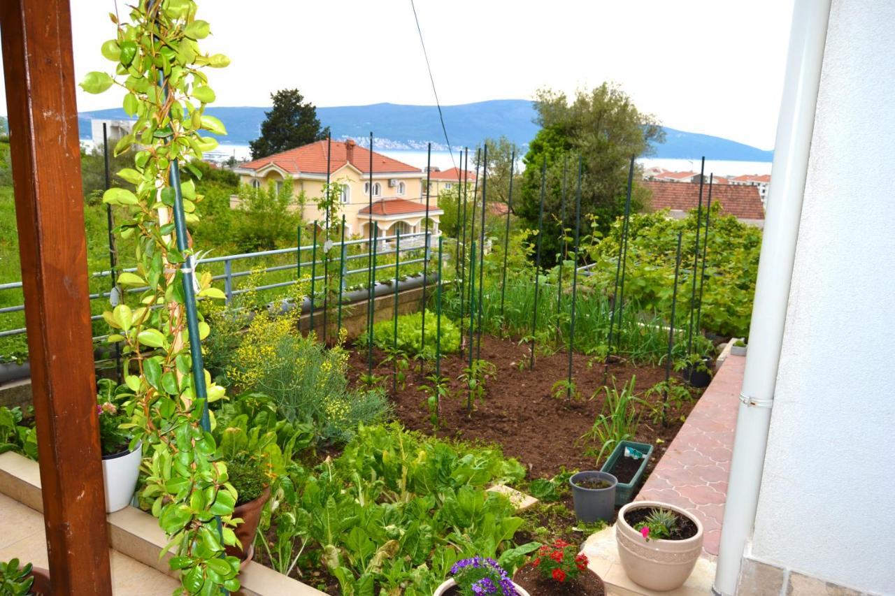 Tivat Apartments Exteriör bild